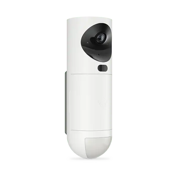 Videodetektor