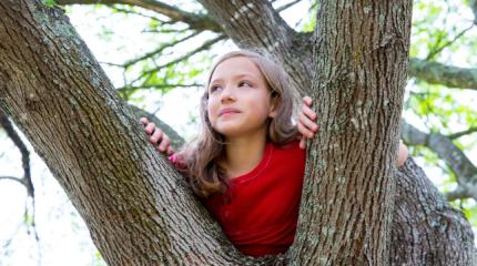 Ein Kind ist auf einen Baum geklettert und schaut in die Ferne.