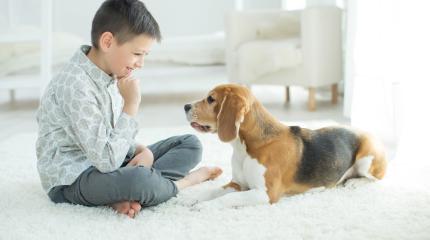 Ein Junge sitzt auf dem Fußboden und schaut den Hund an, der vor ihm liegt.